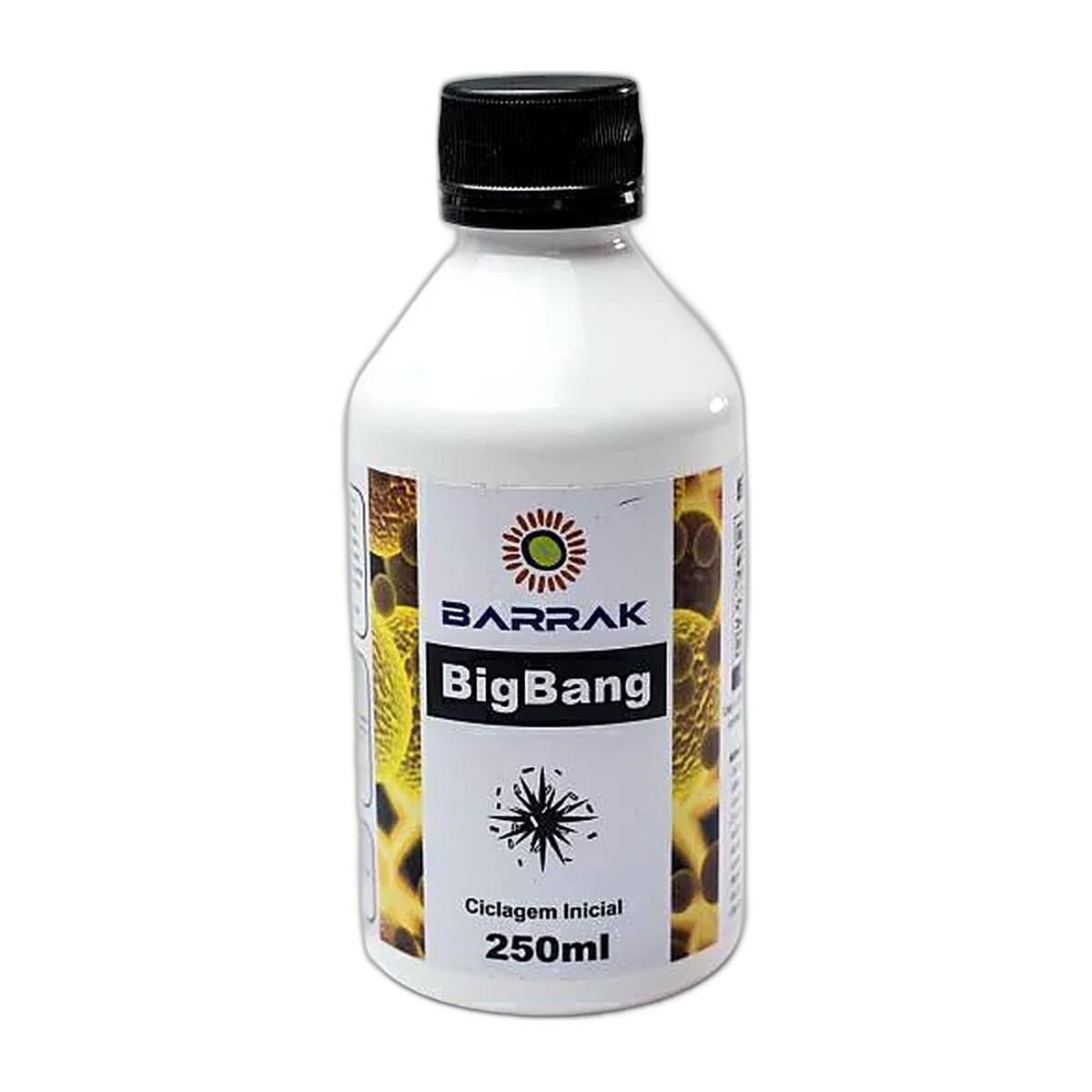 BigBang
